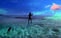 "Save me now - Honu iti e", le clip de Pheal'n pour sauver les tortues