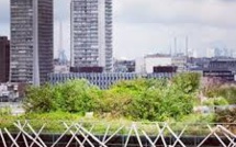 Le toit de l'Opéra Bastille ou les marches de Bercy pour végétaliser Paris