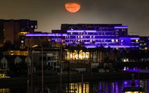 L'IA, nouveau pétrole des Emirats arabes unis?