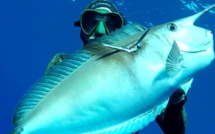 Oliver Emsallem – Pêcheur de l’extrême : Une vidéo de rêve