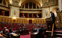 Le budget adopté au Sénat, place aux tractations lors d'une semaine décisive