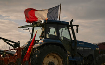 Dermatose bovine: face à la mobilisation agricole qui enfle, le gouvernement appelle à "la responsabilité" et à "l'apaisement"