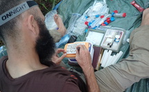 Les papillons du Fenua sous la loupe de Bruno Rasmussen