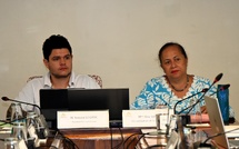 ​Aides publiques, la difficile quantification