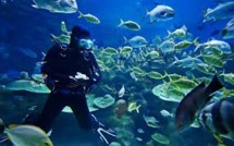 Accident de plongée à Bora Bora: décès d'une touriste américaine