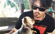 Chiens indésirables en Australie: Canberra se moque des étranges excuses de Johnny Depp