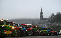 Mercosur: les syndicats agricoles reçus par Macron, la dermatose en toile de fond