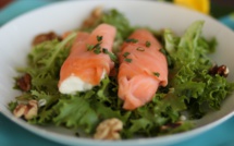 Rouleaux de saumon sur lit de salade