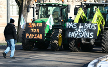 Les agriculteurs bravent les interdictions autour de Toulouse et vers Paris