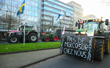 Mercosur: Macron sous pression des partis, Retailleau agite le spectre d'une "censure"