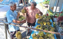 ​Les durians, “une bénédiction” à Papeari