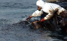 Menace de marée noire sur la Riviera italienne et la Côte d'Azur