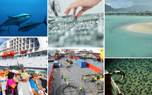 Les outremers, un laboratoire d’innovations économiques