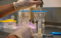 Le TFA, ce "polluant éternel" omniprésent dans l'environnement, bientôt mieux contrôlé