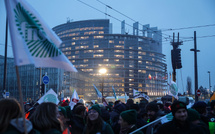 Coup d'arrêt pour le Mercosur: le Parlement européen saisit la justice de l'UE