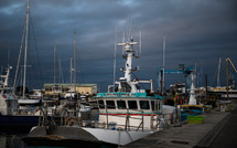 Dauphins: un nouveau mois sans pêche, mais peut-être pas le dernier