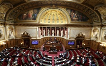 Fin de vie: les débats sur l'aide à mourir quasiment enterrés au Sénat après le rejet d'un article-clé