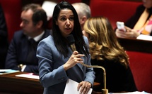 ​2 millions d’euros pour lutter contre l’ice