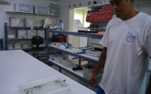 Un nouveau laboratoire pour produire des moustiques stériles