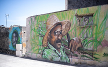 Agriculture en Outre-mer: les aides de l'UE vitales mais imparfaites