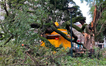 La tempête Kristin fait au moins quatre morts au Portugal
