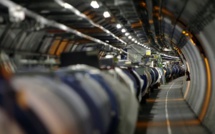 Une fouine provoque une panne dans le plus grand accélérateur de particules du monde