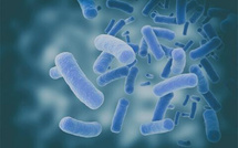 Vigilance face aux maladies gastro-intestinales