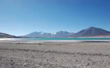 Le désert chilien d'Atacama étanche sa soif grâce au brouillard