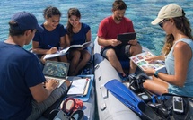 Une nouvelle licence “Océan et défis durables” ouvre à l’UPF