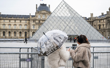 Louvre: un plafond peint du XIXe siècle abîmé par une fuite d'eau