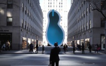 Une piscine verticale en forme d'oreille de Van Gogh exposée à New York