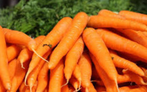 Le gène qui rend la carotte orange identifié, un atout pour la santé
