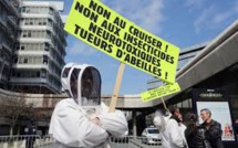 Loi biodiversité/abeilles: les néonicotinoïdes au coeur des débats