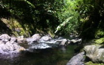 Le corps sans vie d'un homme de 22 ans découvert dans la vallée de la Fautaua