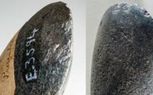 Australie: découverte d'un fragment de "la plus ancienne" hache connue