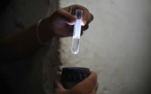 Une étude sur des souris décrypte la transmission du Zika de la mère au foetus