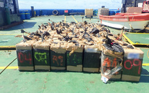 Saisie record de cocaïne en France en 2025, en attente d'"un plan douanes massif"