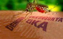 Premier cas de virus Zika détecté à Singapour