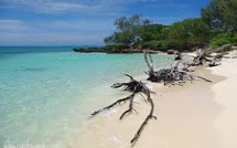 A Poé en Nouvelle-Calédonie, la peur du requin effraie les touristes