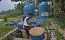 Dans un village d'Indonésie, du jus de tofu transformé en électricité verte