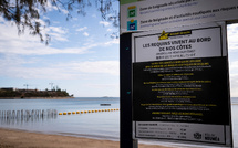 Nouvelle-Calédonie: une campagne de pêche de requins relancée après une attaque mortelle