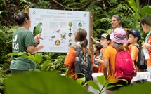 ​Retour en forêt avec Aoa à Mataiea