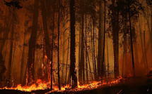 El Niño pourrait revenir en 2026 et réchauffer encore plus la planète