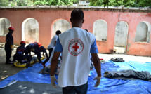 Fièvre jaune: la Fédération de la Croix-Rouge craint une "crise mondiale"