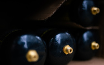 Accident mortel en Seine-et-Marne: le jeune conducteur aurait consommé du protoxyde d'azote