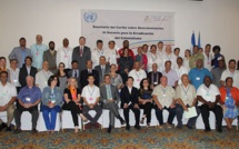 Décolonisation : Heremoana Maamaatuaiahutapu au séminaire du Pacifique de l'ONU