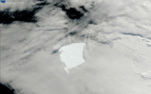 Antarctique: la banquise victime de l'affaiblissement d'un bouclier d'eau froide, selon une étude