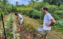 L’agriculture, un choix d’avenir pour la jeunesse des Marquises