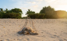 Mission : restauration des écosystèmes  