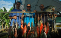 Pêche sous marine : Coupe Sin Tung Hing et dernières manches du championnat de Polynésie et sélectives pour le mondial